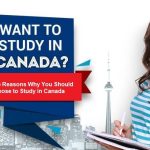 study-in-canada