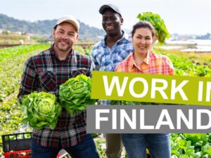 Seasonal Farm Worker Visa Finland 2025 Updates
