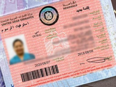 UAE with Your Pets on a Work Visa